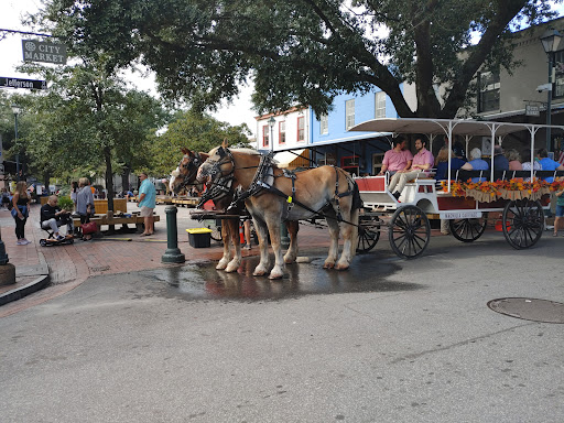 Market «City Market», reviews and photos, 219 W Bryan St, Savannah, GA 31401, USA