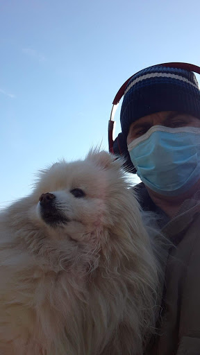 Park «Independence Park», reviews and photos, 3945 N Springfield Ave, Chicago, IL 60618, USA