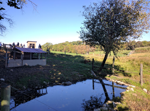 Dairy Farm «Milky Way Farm», reviews and photos, 521 E Uwchlan Ave, Chester Springs, PA 19425, USA
