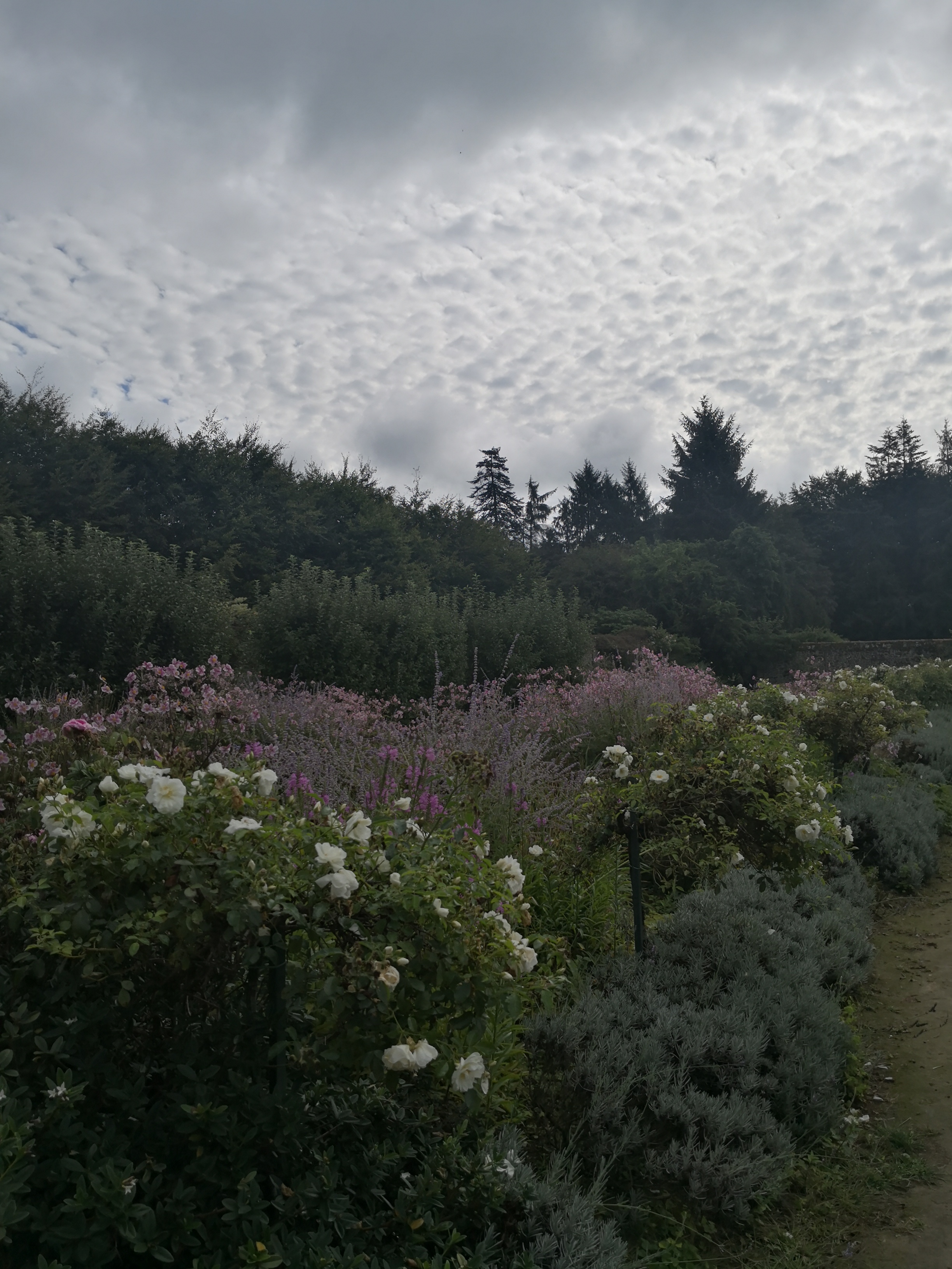 Photo n° 5 de l'avis de Y.A fait le 21/08/2020 à 07:32