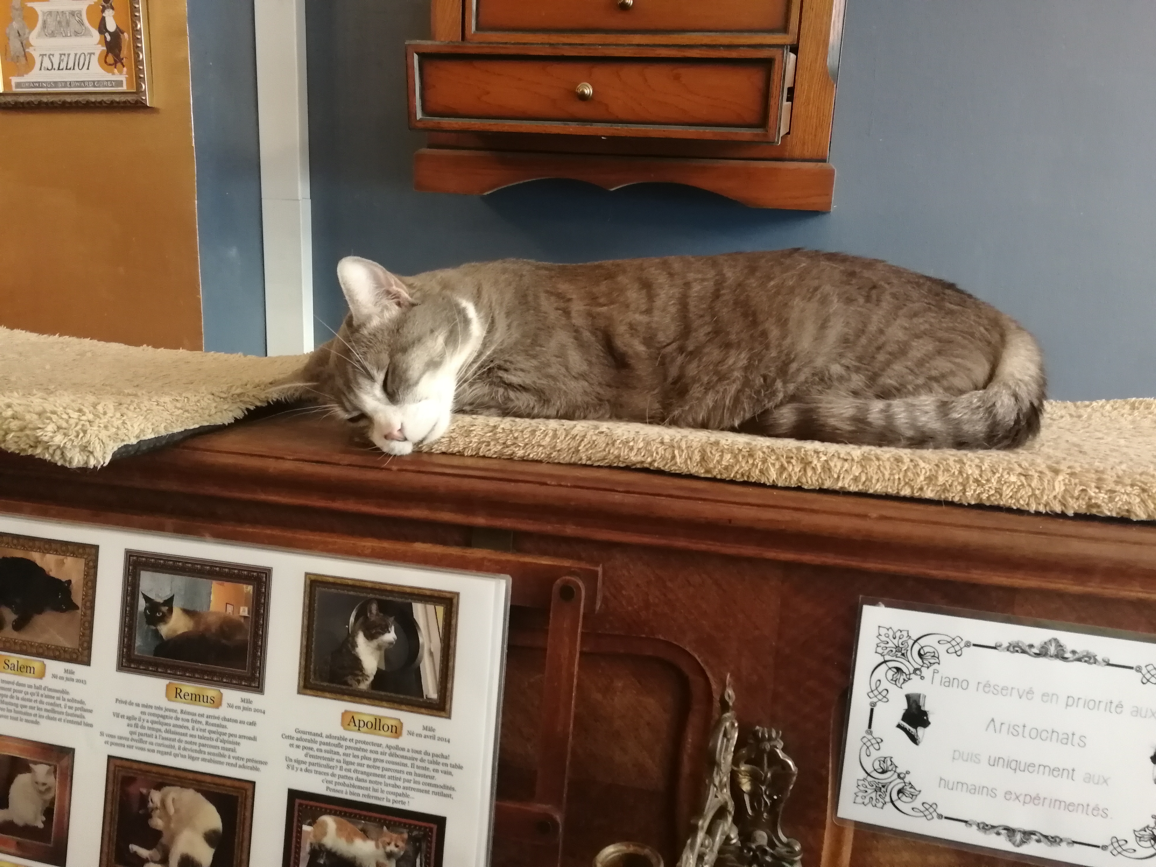 Photo n° 3 de l'avis de Laëtitia.I fait le 09/05/2019 à 14:58