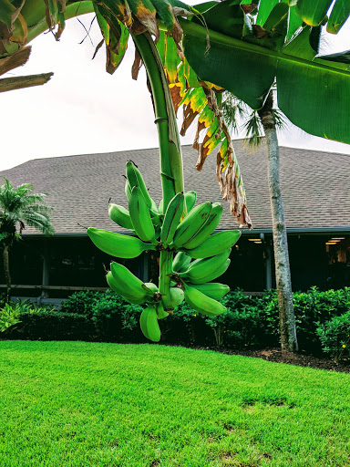 Shopping Mall «Periwinkle Place», reviews and photos, 2075 Periwinkle Way, Sanibel, FL 33957, USA