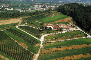 Azienda Agricola Ronchi Di Manzano S.N.C.
