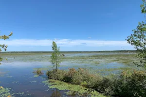 Tiny Marsh Provincial Wildlife Area image