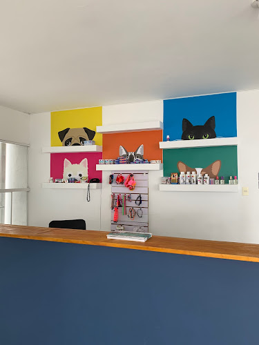 Comentarii opinii despre Veterinaria Amor Por Ti