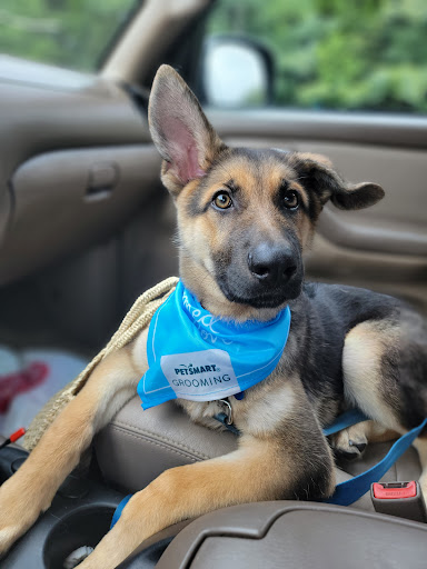 Pet Supply Store «PetSmart», reviews and photos, 1600 N Jackson St #310, Tullahoma, TN 37388, USA