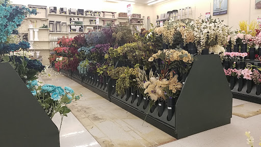 Craft Store «Hobby Lobby», reviews and photos, 8370 Agora Pkwy, Selma, TX 78154, USA