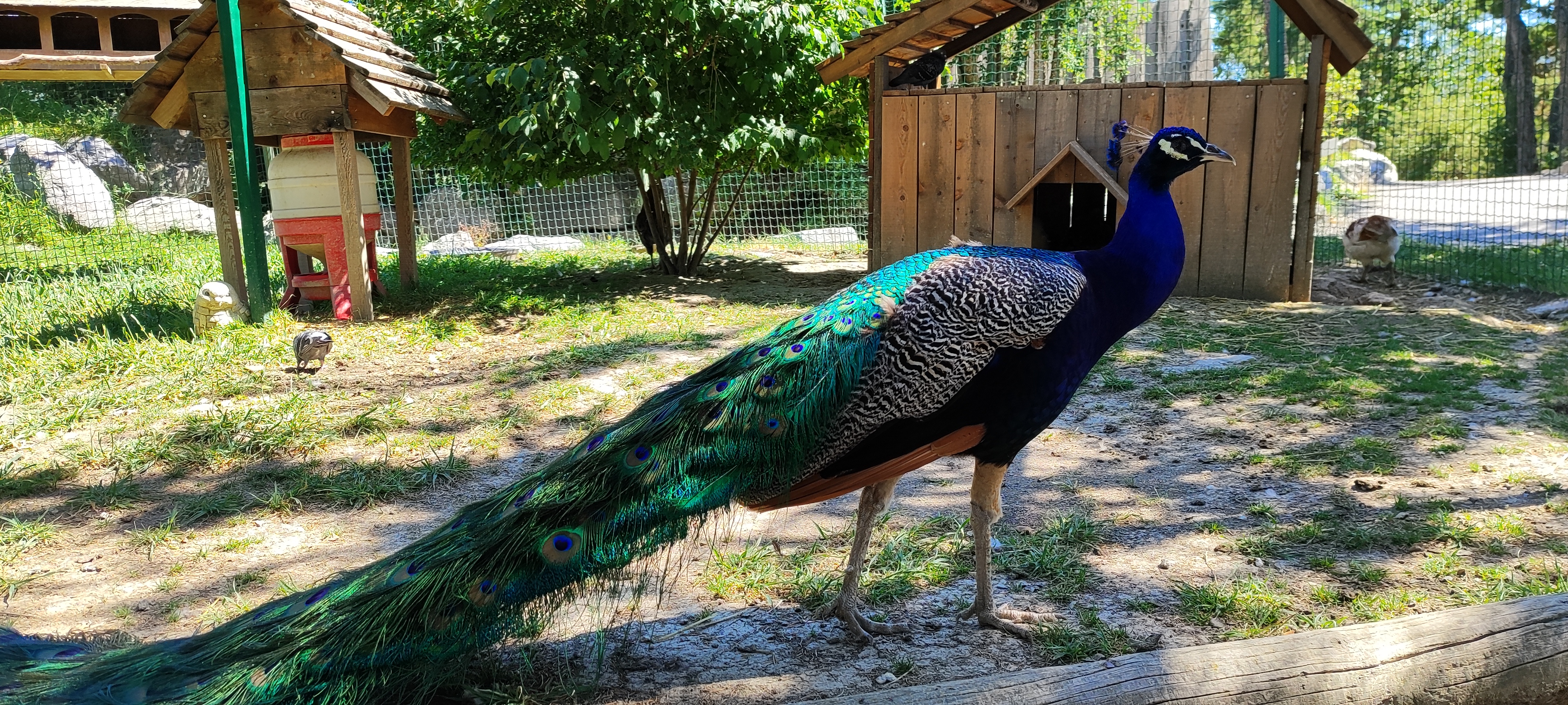 Photo n° 3 de l'avis de Sessew.T fait le 21/07/2023 à 14:48