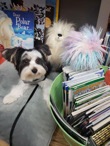 Book Store «Read It Again», reviews and photos, 3630 Peachtree Pkwy # 314, Suwanee, GA 30024, USA