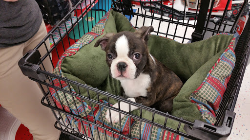 Pet Supply Store «Petco Animal Supplies», reviews and photos, 1090 Fort Union Blvd, Midvale, UT 84047, USA