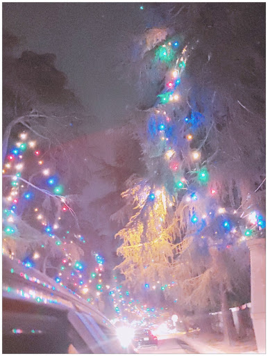 Tourist Attraction «Christmas Tree Lane», reviews and photos, Santa Rosa Ave, Altadena, CA 91001, USA