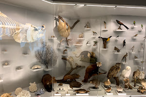 Freunde und Förderer des Naturkundemuseums Dortmund