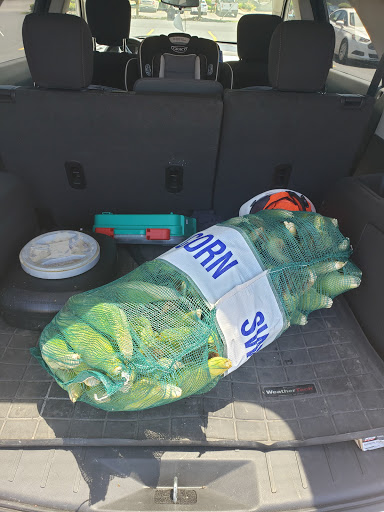 Hardware Store «Ace Hardware of West Belleville», reviews and photos, 6938 W Main St, Belleville, IL 62223, USA