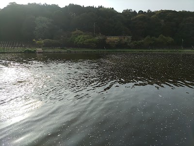 ウオルトンガーデン