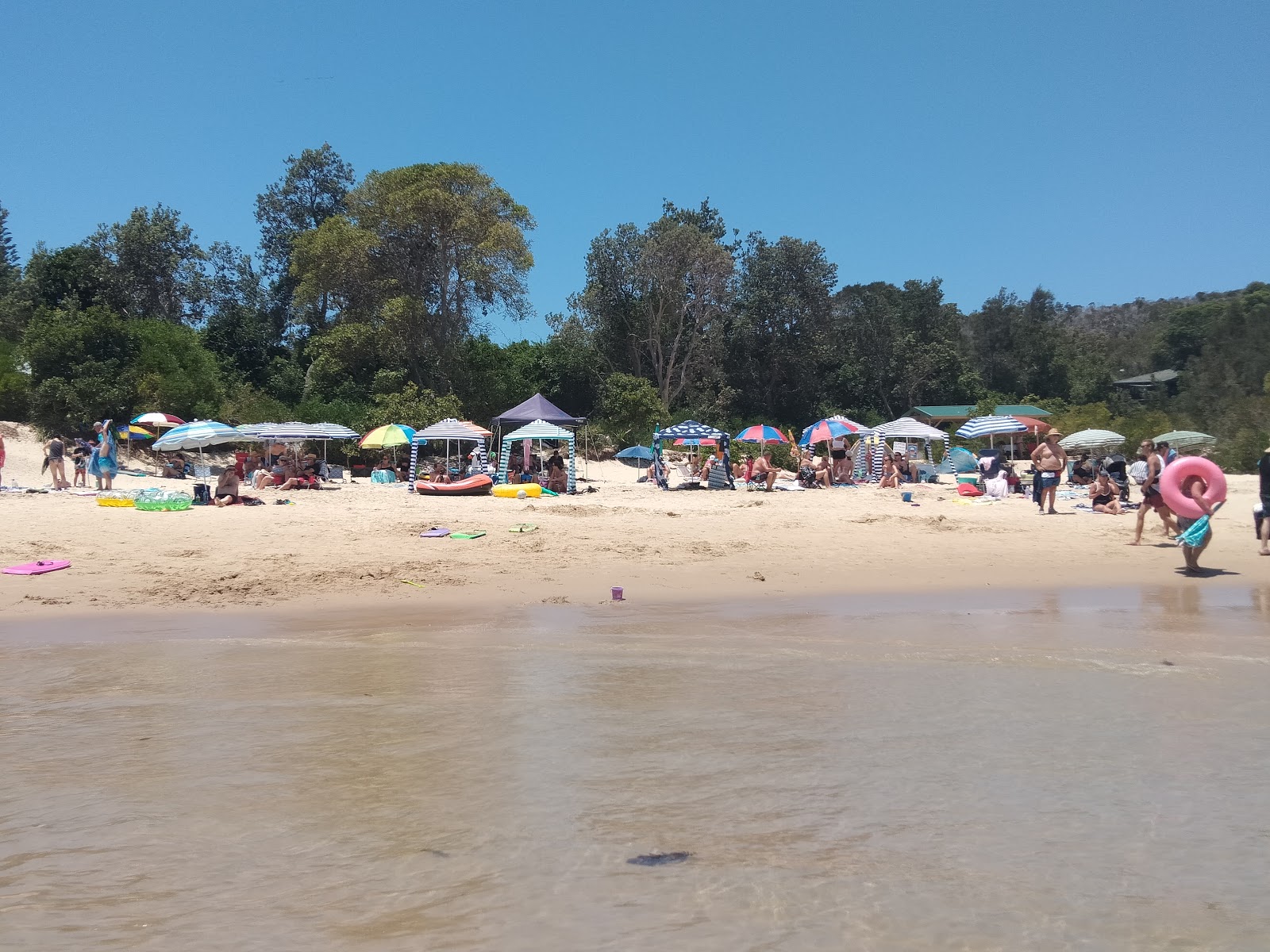 Trial Bay Gaol Beach photo #9