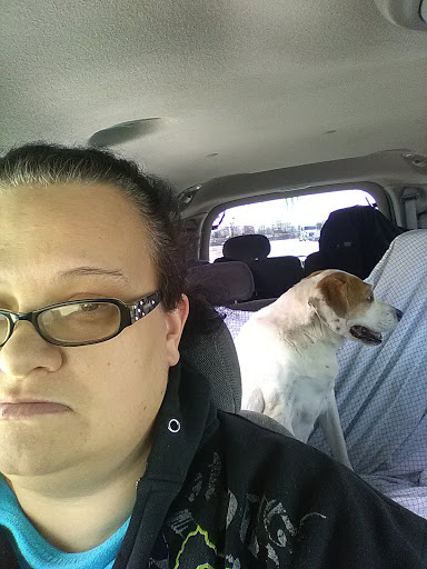 Pet Store «Animal Welfare League», reviews and photos, 6224 S Wabash Ave, Chicago, IL 60637, USA