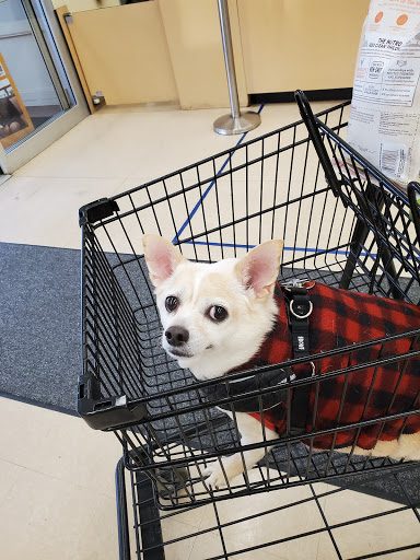 Pet Supply Store «Petco Animal Supplies», reviews and photos, 141 Tuckahoe Rd #130, Sewell, NJ 08080, USA