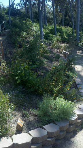 Park «Heritage Hill Historical Park», reviews and photos, 25151 Serrano Rd, Lake Forest, CA 92630, USA