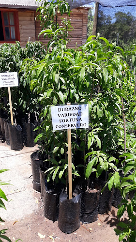 Comentarii opinii despre Vivero El Renacer GT.