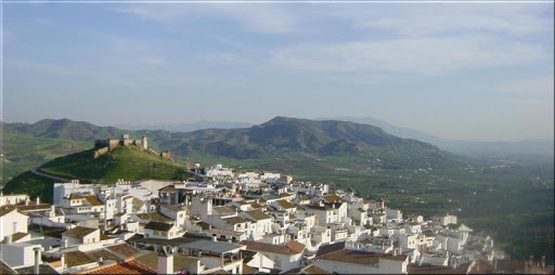 Alora Property Network - C. Carmona, 19, 29500 Álora, Málaga, España