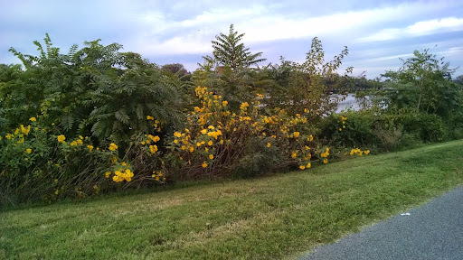 Park «Anacostia Park», reviews and photos, 1900 Anacostia Dr, Washington, DC 20020, USA