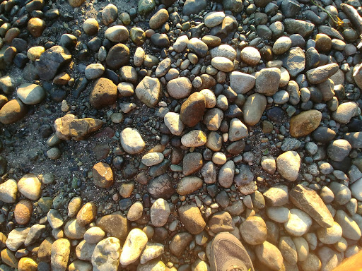 Park «Marine View Park», reviews and photos, 20945 Marine View Dr SW, Normandy Park, WA 98166, USA