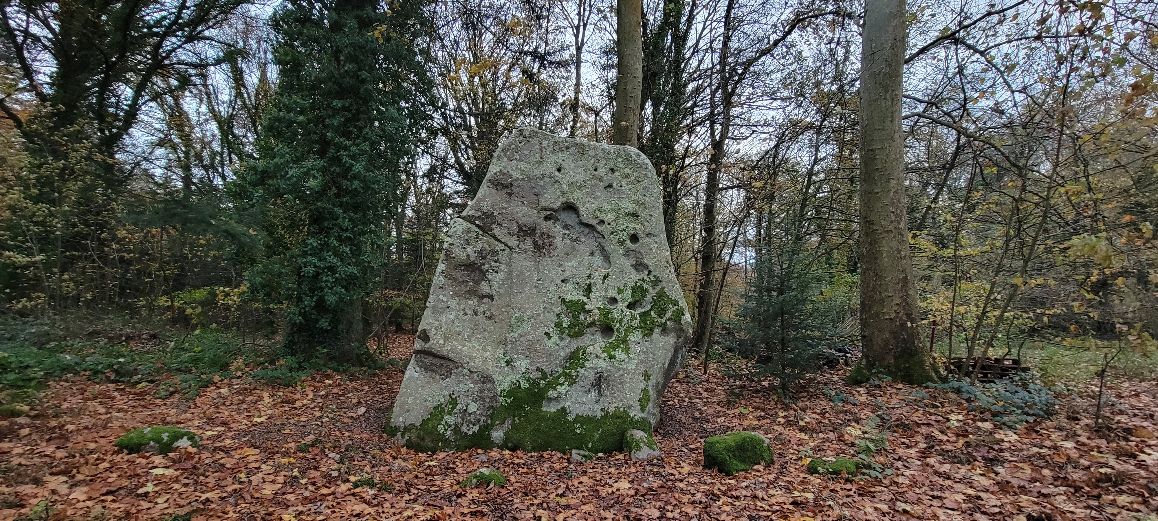 Photo n° 1 de l'avis de Théo.C fait le 06/12/2023 à 12:29