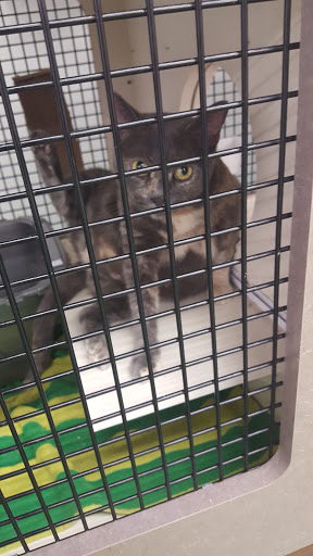 Pet Supply Store «Petco Animal Supplies», reviews and photos, 2230 Marlton Pike W #3, Cherry Hill, NJ 08002, USA