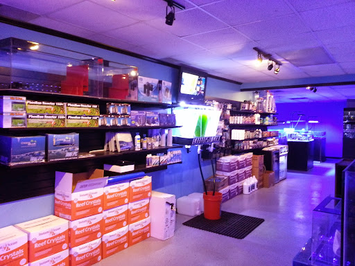 Pet Store «Reefers Direct Aquatics», reviews and photos, 3227 13th St, St Cloud, FL 34769, USA