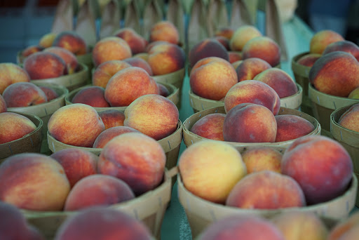 Produce Market «Parks Farms», reviews and photos, 525 NJ-24, Chester, NJ 07930, USA