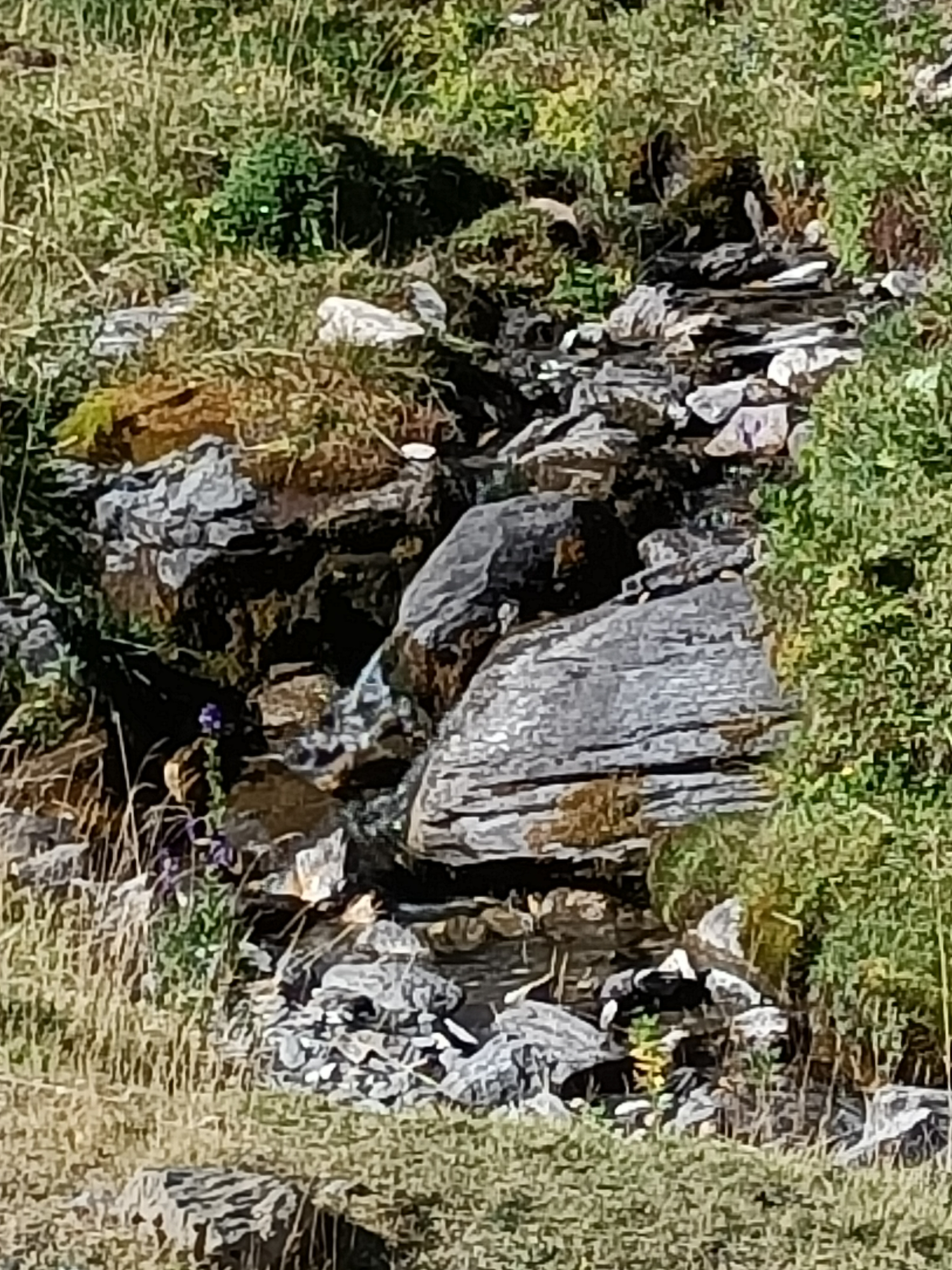 Photo n° 1 de l'avis de Céline.a fait le 21/08/2023 à 20:26
