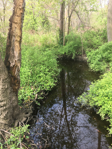 Nature Preserve «Brookside Preserve», reviews and photos, N Brookside Ave, Roosevelt, NY 11575, USA