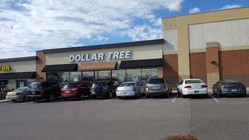 Dollar Store «Dollar Tree», reviews and photos, 2039 S Robert St, West St Paul, MN 55118, USA