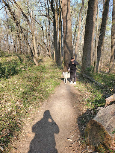 Dog Park «Perry Paw Dog Park», reviews and photos, 9033 Honeygo Blvd, Perry Hall, MD 21128, USA