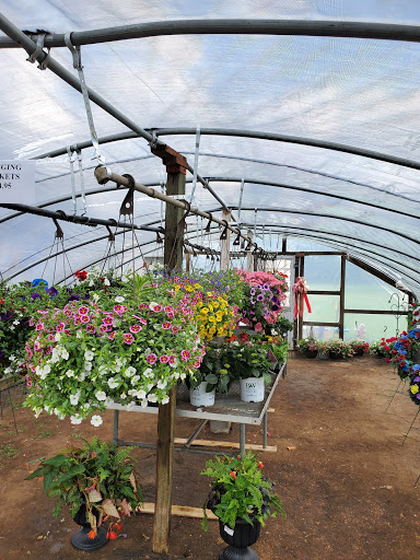 Florist «McClure-Parkhurst Florist», reviews and photos, 25815 W 10 Mile Rd, Southfield, MI 48033, USA