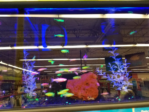 Pet Supply Store «Petco Animal Supplies», reviews and photos, 12014 SW 88th St, Miami, FL 33186, USA