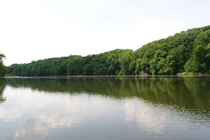 Speedwell Forge Lake image