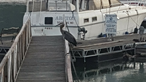 Marina «Mitchell Creek Marina», reviews and photos, 1260 Livingston Boat Dock Rd, Allons, TN 38541, USA