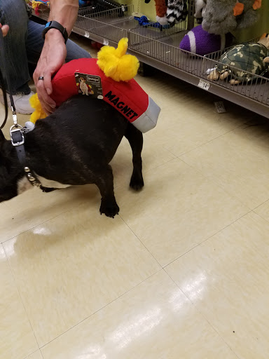 Pet Supply Store «Petco», reviews and photos, 131 N Cattlemen Rd, Sarasota, FL 34243, USA