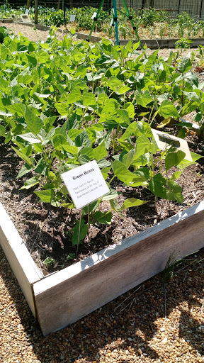 Non-Profit Organization «Harvesters - The Community Food Network», reviews and photos