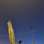 Photo n°1 de l'avis de Francesca.o fait le 17/07/2021 à 15:28 sur le  Araknos à Aradeo