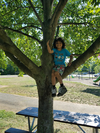 Park «Haley M. Smith Park», reviews and photos, 814 Van Buren, Herndon, VA 20170, USA