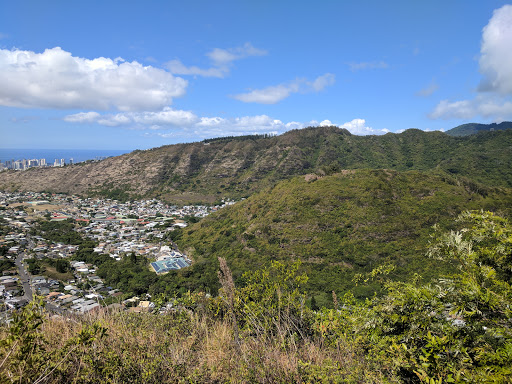 Honolulu Watershed Forest Reserve