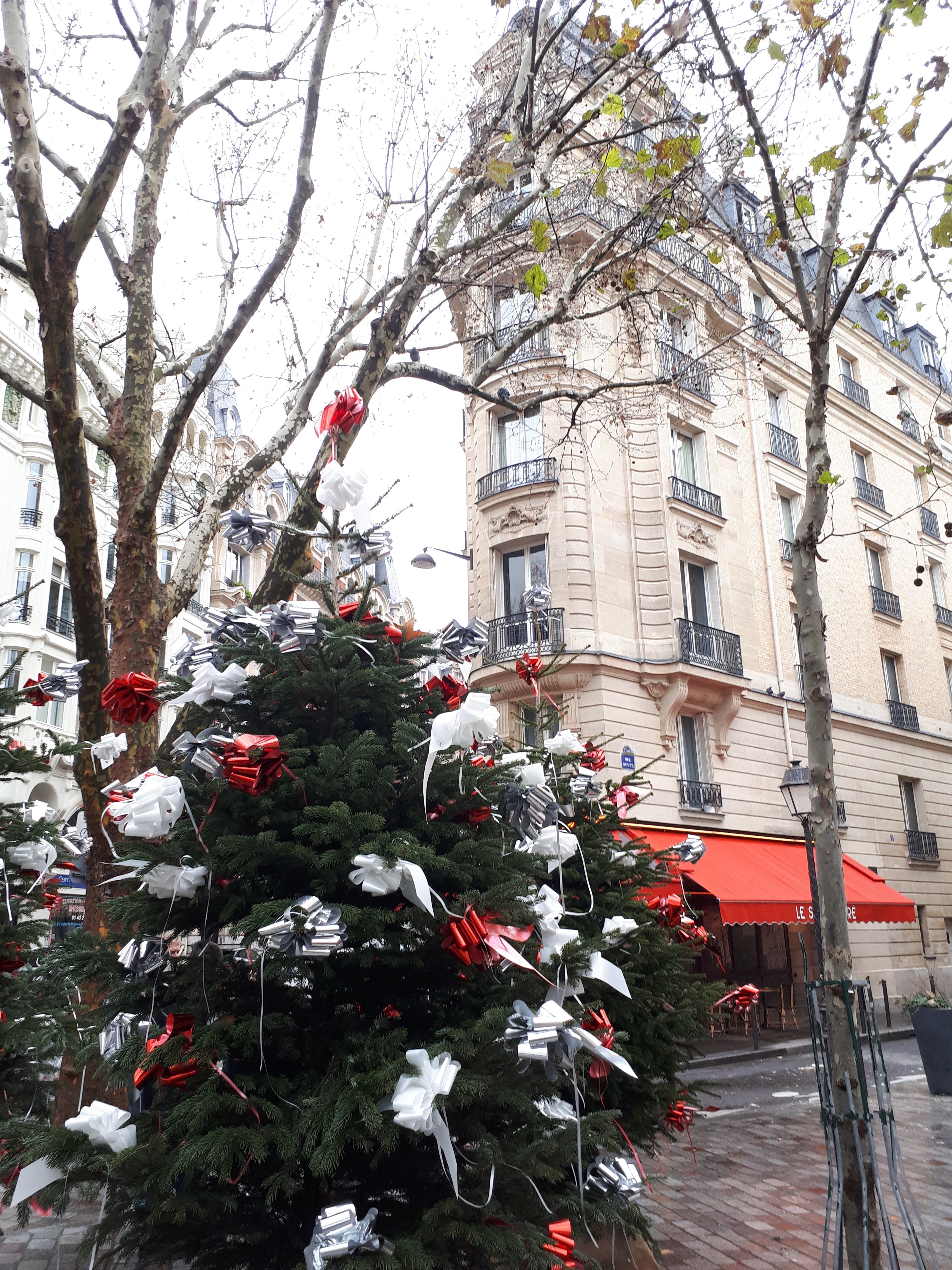 Photo n° 2 de l'avis de Daisy.G fait le 20/01/2019 à 18:43