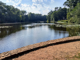 Milton Lake Park