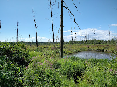 Ballston Creek Preserve