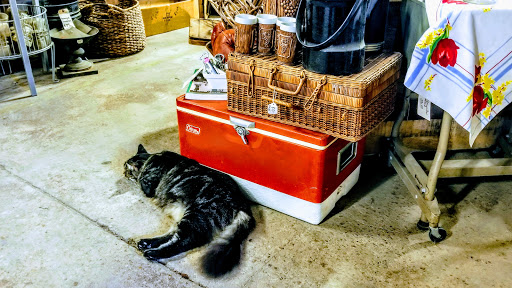 Antique Store «Eco Relics», reviews and photos, 106 Stockton St, Jacksonville, FL 32204, USA