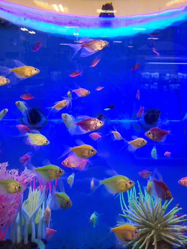 Pet Supply Store «PetSmart», reviews and photos, 7340 W 191st St, Tinley Park, IL 60487, USA