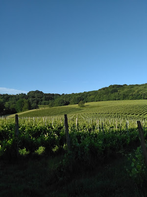 Clos les mets d'Âmes à Aurions-Idernes