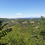 Photo n°29 de l'avis de Emanuele.n fait le 05/09/2020 à 18:50 sur le  Alfieri à Magliano Alfieri